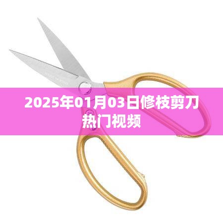 2025年修枝剪刀热门视频全解析