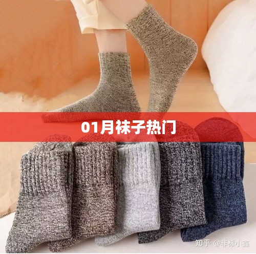 一月袜子流行趋势
