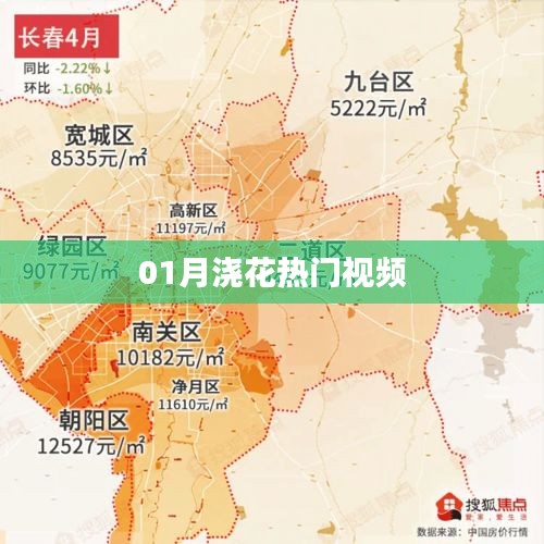 冬季花卉养护秘籍，热门浇花视频大盘点