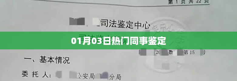 最新热门同事鉴定报告出炉！职场风采一览无余