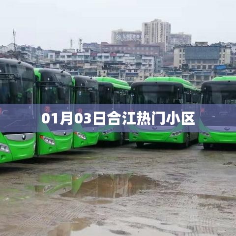 合江热门小区最新动态，01月03日资讯