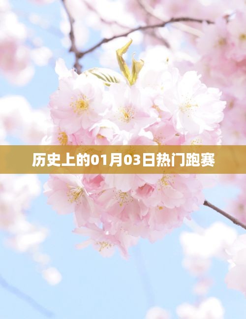 1月3日历史上的热门赛跑事件回顾