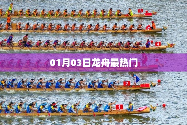 01月03日龙舟热潮席卷，文化魅力引关注