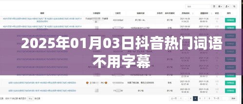 抖音流行词汇无需字幕，引领潮流新风尚