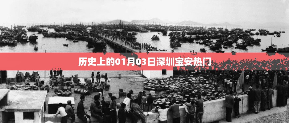 深圳宝安历史重大事件回顾，一月三日热点聚焦