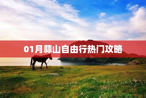 蒜山自由行超实用攻略