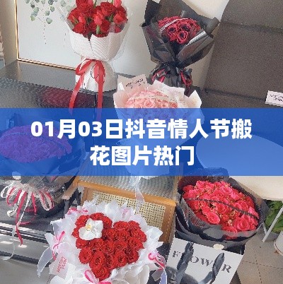 抖音情人节搬花图片流行趋势（精选热门图片）