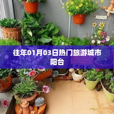 阳台旅游城市盘点，历年一月初热门目的地