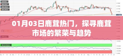 探寻鹿茸市场繁荣趋势，热门鹿茸市场深度解析