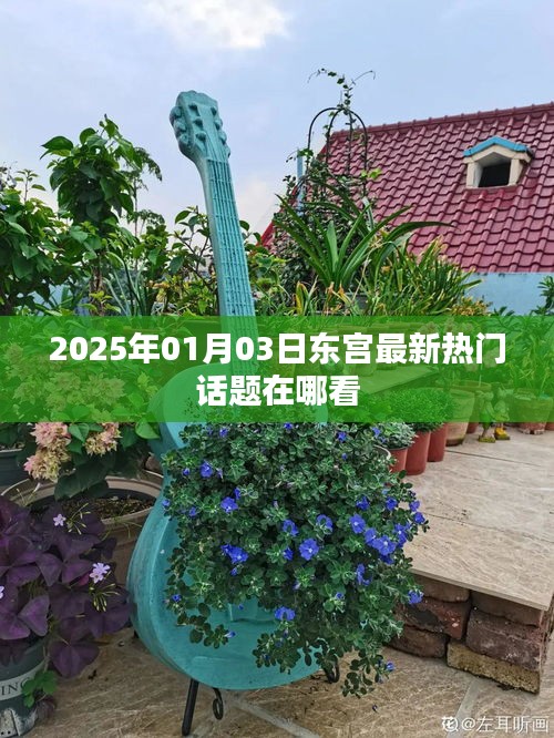 东宫2025年最新热门话题一网打尽