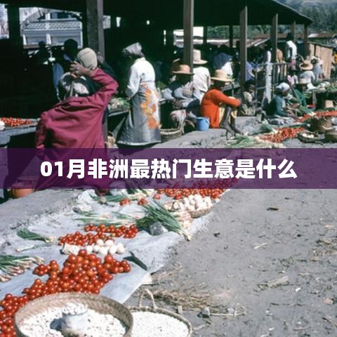 非洲一月份热门生意聚焦