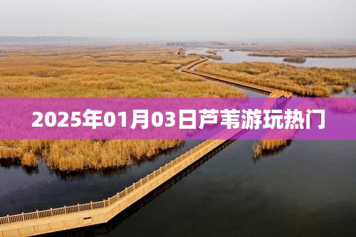 2025年元旦后首游热门景点，芦苇荡探秘之旅