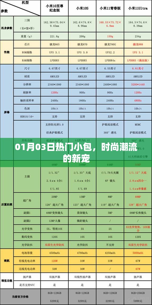 时尚新宠，热门小包风潮来袭