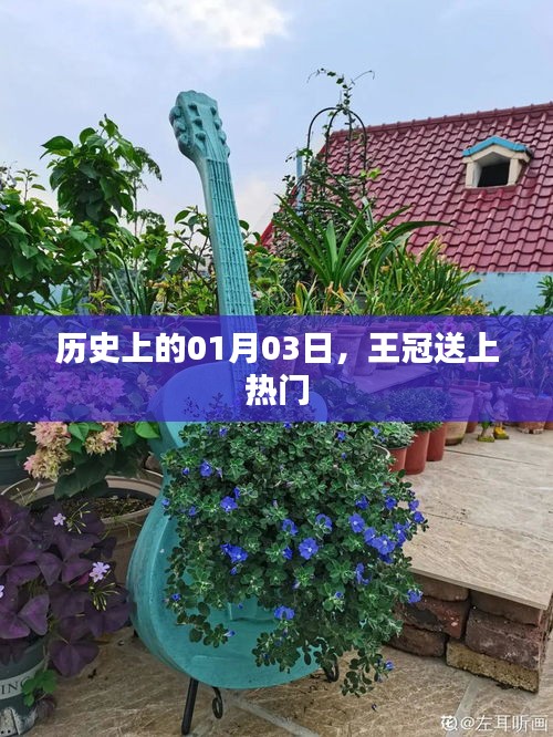 历史上的今日，王冠事件揭秘