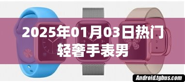 『2025年1月热门手表男轻奢风尚』