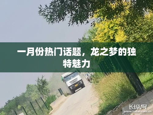 一月份热议焦点，龙之梦的独特魅力