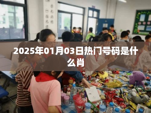生肖热门号码预测，2025年1月3日热门生肖号码揭晓