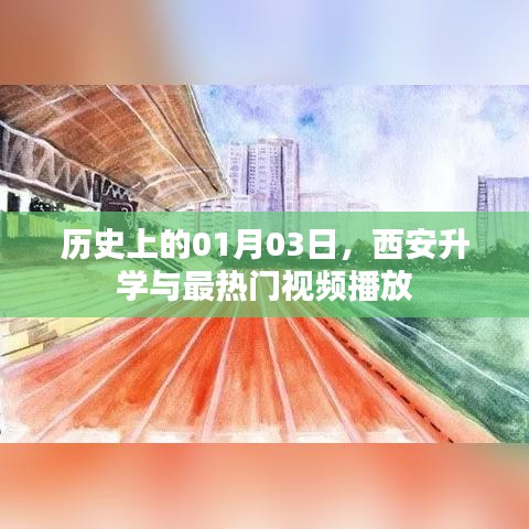 纲挈目张