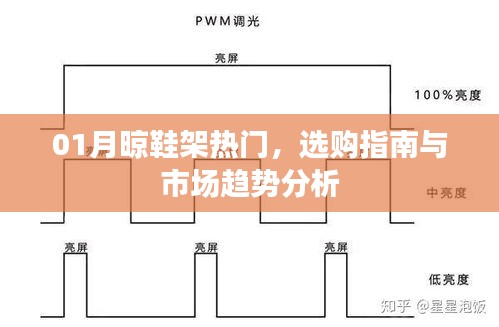 晾鞋架选购指南，市场趋势分析与热门推荐