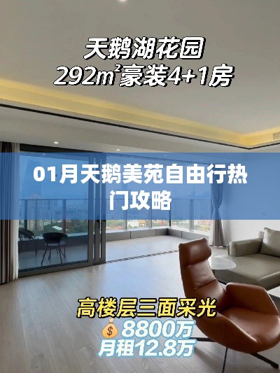 天鹅美苑自由行指南，热门攻略全解析