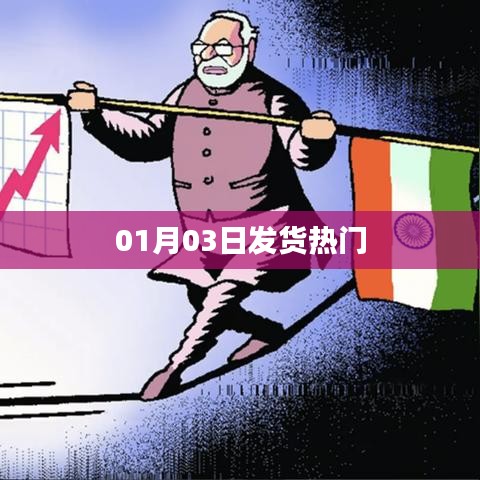 热门商品，1月3日发货速递