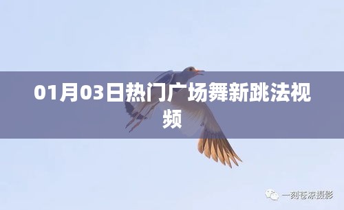 热门广场舞新跳法视频全攻略（最新更新）