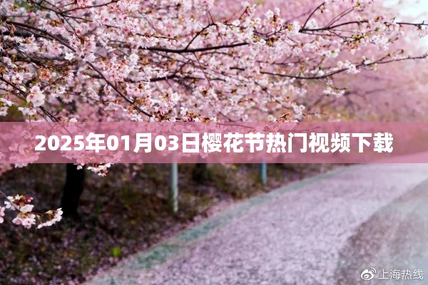 『2025樱花节狂欢视频下载，热门内容一网打尽』