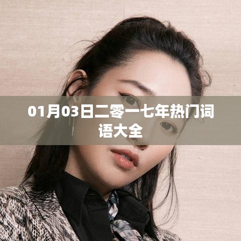 热门词语大全，一网打尽，尽在二零一七年一月三日！