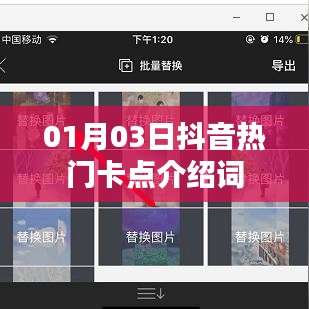 温文尔雅