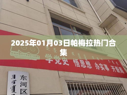 帕梅拉热门合集 2025年1月全新上线