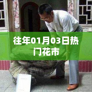 往年元旦花市盛况回顾