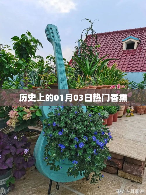 一月三日热门香熏历史回顾