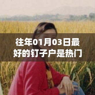 钉子户话题持续热议，热门事件回顾与展望