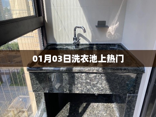 洗衣池话题大热，日期细节揭秘