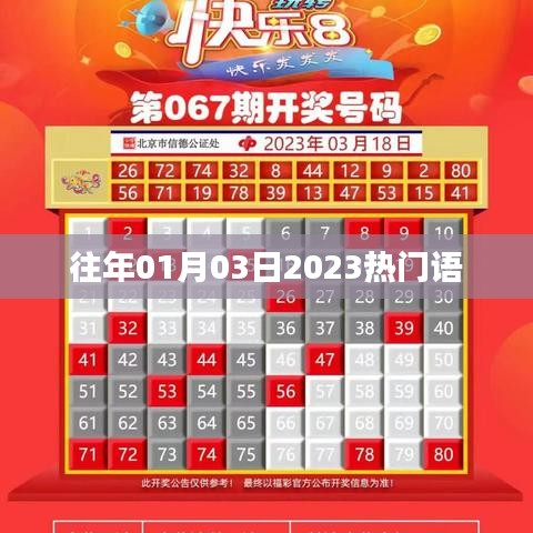 热门语言趋势，揭秘2023年元旦后的流行语风暴，希望符合您的要求，如需调整，请告知。