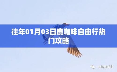 案例见证 第16页