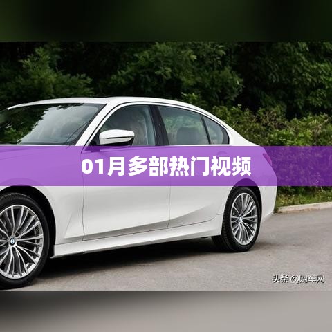 热门视频集结，一月不容错过