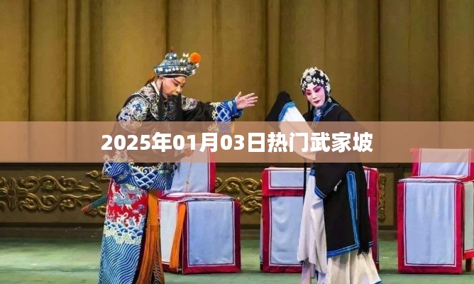 武家坡，2025年1月3日热门焦点