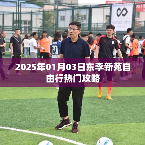 东李新苑自由行指南，热门攻略揭秘