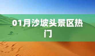 沙坡头景区一月游玩热潮