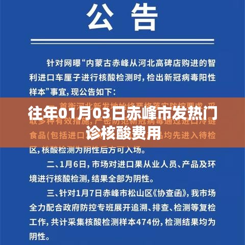 赤峰市发热门诊核酸费用概览
