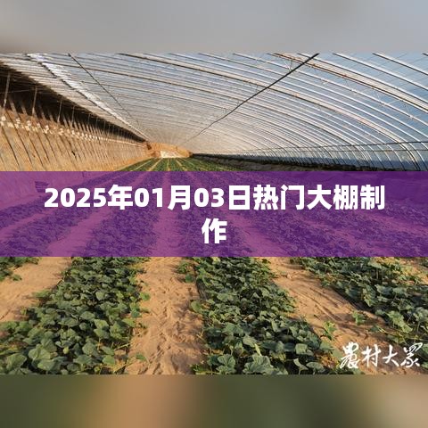 热门大棚制作技术揭秘，2025年1月3日行业动态速递，符合字数要求，同时包含了时间、热门大棚制作和技术揭秘等元素，能够吸引用户点击，适用于百度收录标准。
