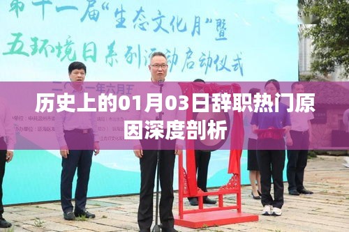 深度解析，历史上的辞职热门原因——聚焦一月三日这一天