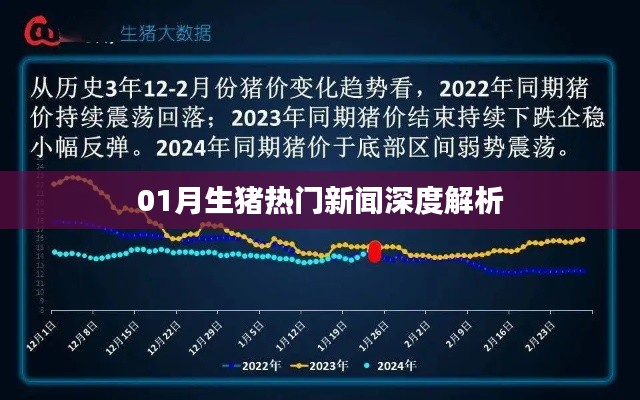 深度解析，01月生猪市场热点新闻综述