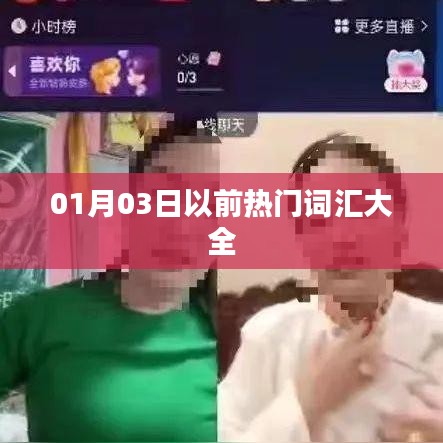 01月03日前流行词汇总览
