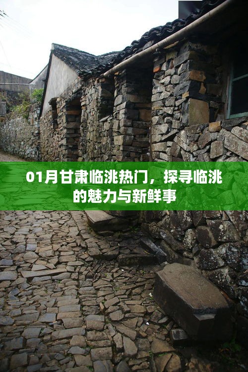 甘肃临洮一月热门探秘，魅力与新鲜事全攻略