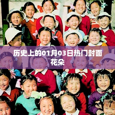 历史上的热门封面花朵，一月三日绽放风采
