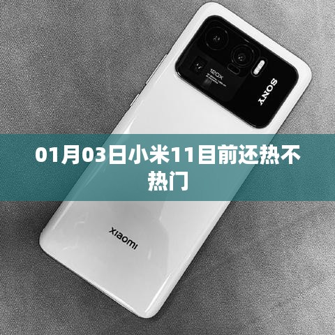 韦编三绝