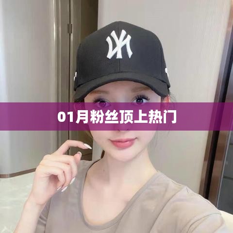 粉丝助力热门登顶，一月份粉丝狂欢时刻