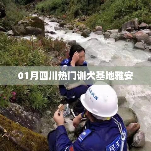 繁鸟萃棘